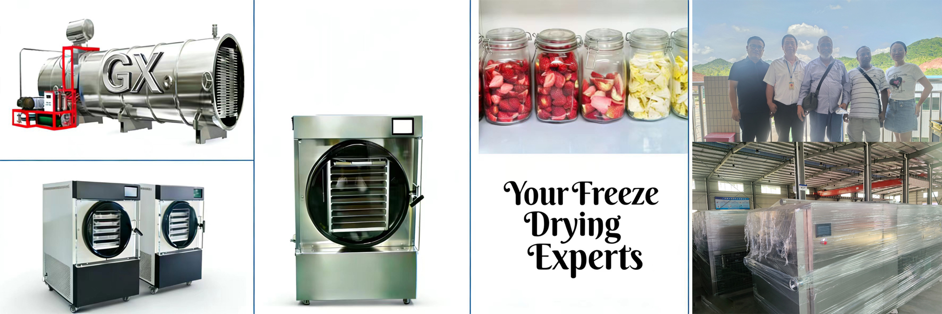 качество домашний сушильщик замораживания завод