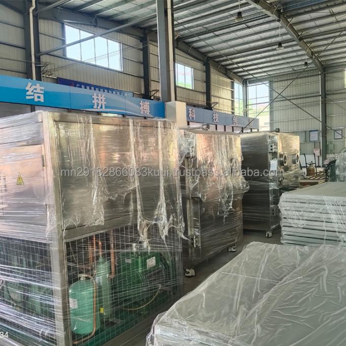 Промышленный фризосушитель высокопроизводительный лиофилизатор для пищевой фармацевтики 2