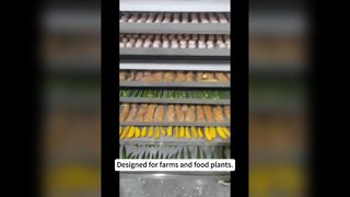 Коммерческая сублимационная сушилка 100 кг для пищевых продуктов