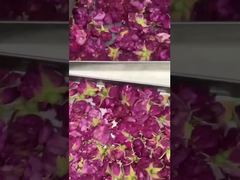 Домашнее морозильное сушка: легко использовать, энергоэффективно, и подходит для вашей кухни