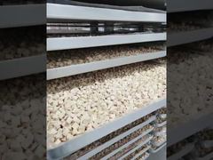 Смотреть: Создано для долговечности: демонстрация процесса обработки промышленной сублимационной сушилки, не требующей особого обслуживания