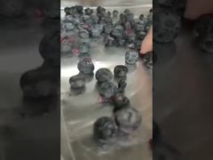 Смотреть: Промышленная лиофилизаторная прецизионная сушка для оптовых поставок дорогостоящих ингредиентов.