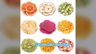 Промышленная сублимационная сушилка, 100 кг, коммерческие масштабы