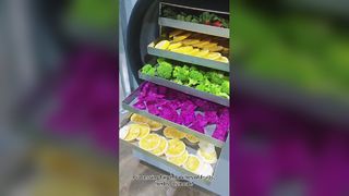 Домашняя сублимационная сушилка Консервы Food be Good