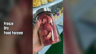 Домашняя сублимационная сушилка Сохранение свежести продуктов питания