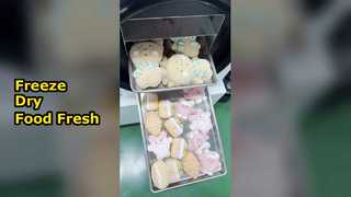 Домашняя сублимационная сушилка Preserve Foo