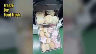 Домашняя сублимационная сушилка для сохранения свежести продуктов питания