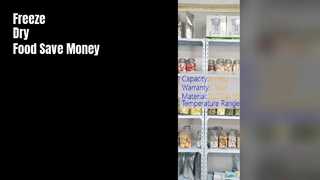 Мини-домашняя сублимационная сушилка для продуктов питания