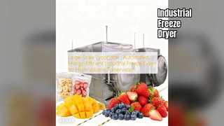 Промышленная сублимационная сушилка: сохранение больших объемов