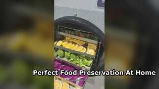Best Home Freeze Dryer For Long Term Food Storage