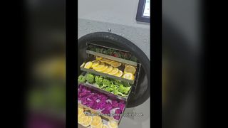 Домашняя сублимационная сушилка для длительного хранения продуктов питания