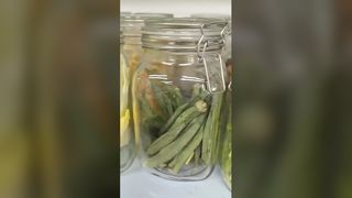 Домашняя сублимационная сушилка для консервирования продуктов питания 25 лет