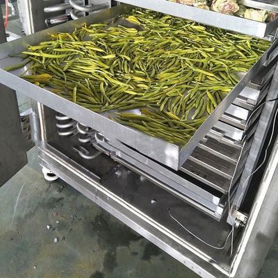 Промышленный морозильный сушильщик пищевых продуктов 200 кг/партия