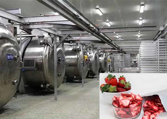 Промышленное оборудование для сушки с вакуумным заморозком весом 100 кг
