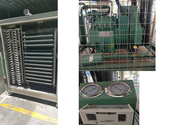 Лиофилизатор Фармацевтический морозильный сушильщик Электрический нагревательный вакуум