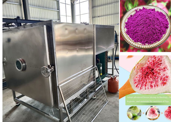 100 кг / партия Stayfresh Freeze Dryer с системой воздушного охлаждения