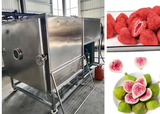 300 кг/партия Большая пищевая вакуумная морозильная сушилка под управлением ПЛК