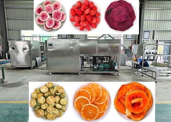 OEM / ODM Продовольственный вакуумный морозильный сушильщик опыт непревзойденная морозильная сушка производительность