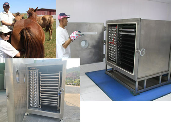 Вакуумный морозильный сушильщик овощей с холодильным агрегатом