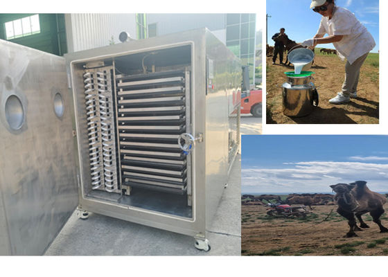 Компактная машина для заморозки сухих фруктов с системой охлаждения