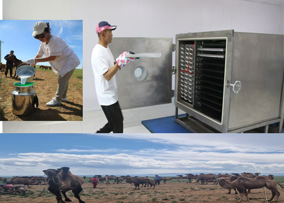 или Leybold компрессор заморозить сухие фрукты машина