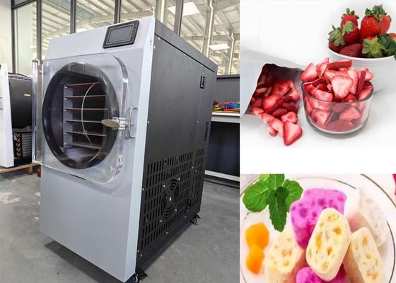 Вакуумная система  Малый домашний морозильный сушильщик для фармацевтической промышленности