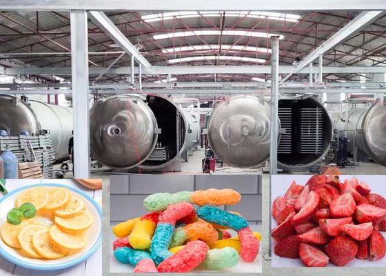 Фармацевтическая 1000 кг вакуумная морозильная сушильная машина передовая технология сушки