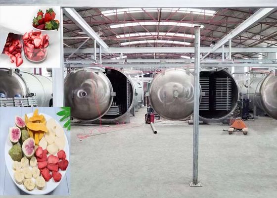 1000 кг мощная вакуумная морозильная сушилка промышленное использование