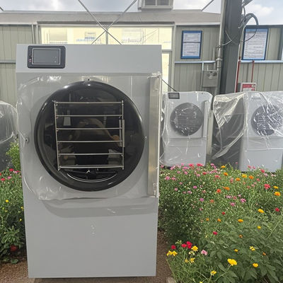 Усовершенствованная компактная технология 20 кг Малый домашний морозильный сушилка Свежесть Энергоэффективное мини ежедневное использование