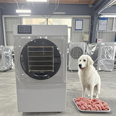 Пищевая категория 6 кг Сушильщик для заморозки Коммерческое оборудование для обезвоживания фруктов и овощей