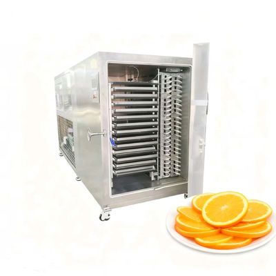 Large 200KG Freeze Dryer for Sale - Get Best Price on Commercial Lyophilizer with Advanced Cooling