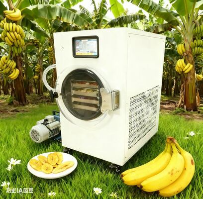 Здоровые закуски, которые делают их простыми. Фрукты, йогурт и многое другое с правом на сбор.