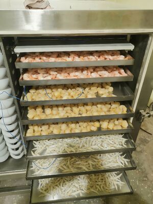 Автоматический промышленный фризосушитель с емкостью 1000 кг идеально подходит для консервирования фармацевтических продуктов питания и химических продуктов