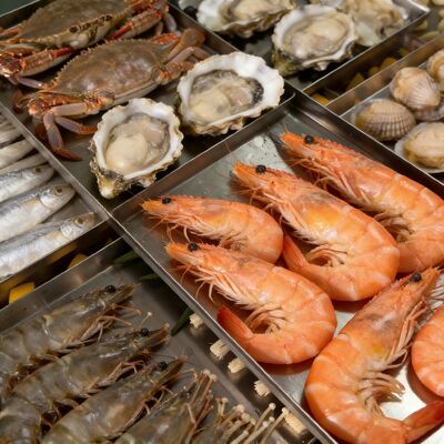 Electric Heating Freeze Dryer Machine Featuring Large Chamber Size 12700 2600 3300mm Suitable for Medical and Laboratory