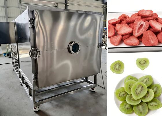 Вакуумная степень ≤10 Па Пищевая вакуумная сублимационная сушилка с вакуумным насосом Baosi или , обеспечивающая сублимационную сушку для пищевой промышленности