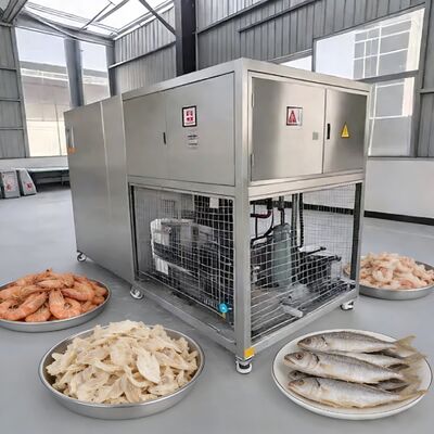 100кг партии Продовольствие Вакуумный сушильщик с Baosi или  Вакуумный насос Сушильщик с морозом Температура от минус 40 до 80 градусов Цельсия