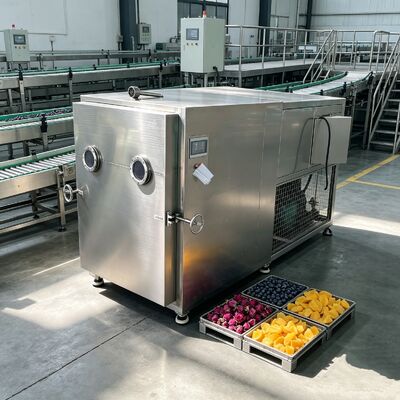 Двухступенчатый пластинчато-роторный вакуумный насос Сублимационная сушилка для овощей Автоматический режим работы EXW Разработан для обезвоживания и увеличения срока хранения