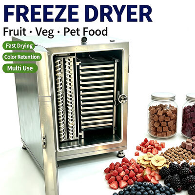 Food-grade 304 Stainless Steel Food Vacuum Freeze Dryer & Industrial Freeze Drying Equipment